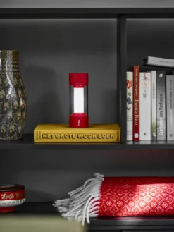 Fatboy Tjoepke -Hayward Verkoop FATBOY Bakkes Photography Vught UnitedStudios18 scaled scaled 1