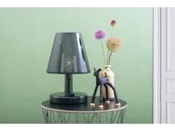 Fatboy Trans-parents -Hayward Verkoop Fatboy Trans parents 4