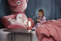 Fatboy Tjoepke -Hayward Verkoop Fatboy Tjoepke Amsterdam0108 scaled 1