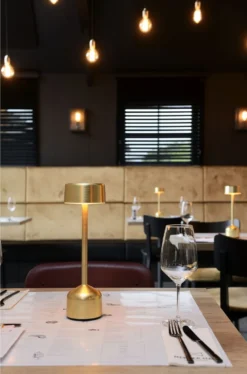 Imagilights Demoiselle Tall LED Tafellamp -Hayward Verkoop Imagilights Demoiselle Tall LED tafellamp 02