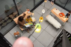 Lichtslinger Kleur -Hayward Verkoop Lichtslinger kleur 12m 8 lampen 09