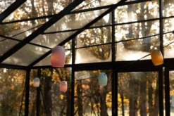 Lichtslinger Kleur -Hayward Verkoop Lichtslinger kleur 12m 8 lampen 12 1