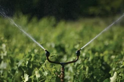 Propeler Tuinsproeier 22 Propeler Tuinsproeier -Hayward Verkoop Propeler tuinsproeier 10