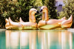 Sunvibes Gold Swan -Hayward Verkoop SUNVIBES CYGNE DORE SITUATION 3 2019