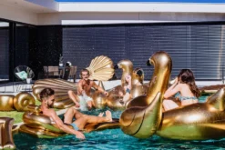 Sunvibes Gold Swan -Hayward Verkoop SUNVIBES GOLD SITUATION 4 2019