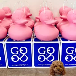 The DUCK DUCK S Lamp -Hayward Verkoop The Duck Duck Lamp Pink Edition 7