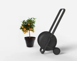 ZEE Tasman 50m -Hayward Verkoop ZEE Tasman 50m 4