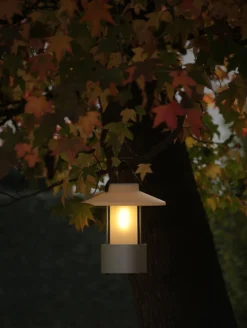 Claro! -Hayward Verkoop claro5